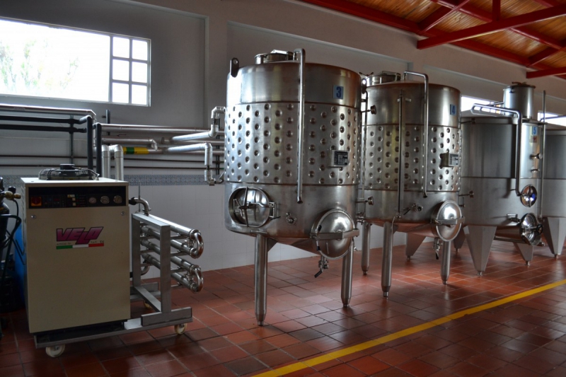 cave-LA FARLEDE-min_wine_production_cantine_winery_drink_alcohol_vine_beverage-902036